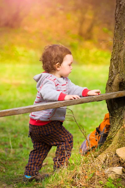 Liten pojke spela nära i loggarna. — Stockfoto