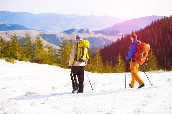 Un groupe d'alpinistes dans les montagnes . — Photo