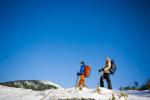 Un groupe d'alpinistes dans les montagnes . — Photo