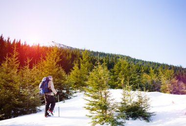 Doğada Hiking adam.