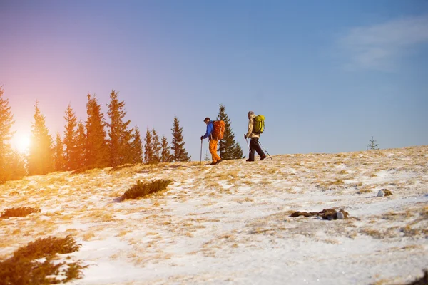 Touristen wandern in den Bergen. — Stockfoto