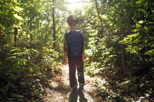 Egy Fiú Hátizsákkal Sétál Erdőben Egy Gyerek Felfedezi Vadvilágot Egy — Stock Fotó