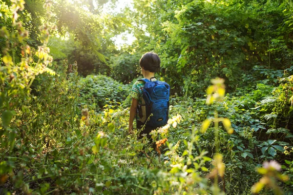 Egy Fiú Hátizsákkal Sétál Réten Egy Gyerek Felfedezi Vadvilágot Egy — Stock Fotó