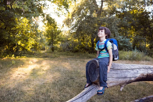 Boy Backpack Sits Trunk Fallen Tree Child Walks Forest Kid — Stock Photo, Image