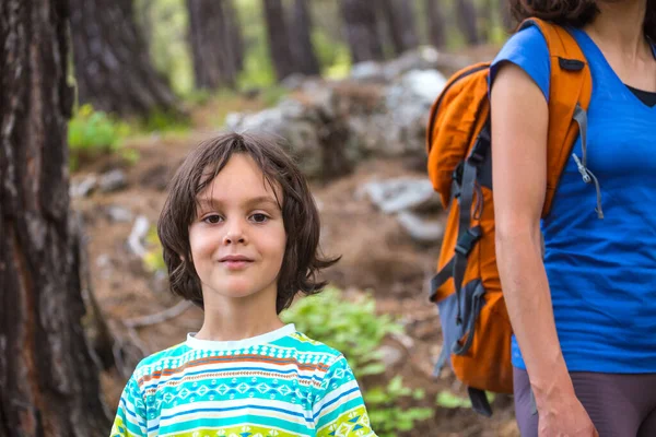 Egy Sétál Fiával Erdőben Fiú Anyjával Túrázni Megy Egy Gyerek — Stock Fotó