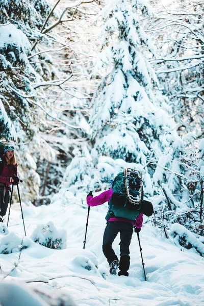 하이킹을 등산용 장대를 친구들은 눈덮인 산길에 배낭을 설화를 소녀들이 합니다 — 스톡 사진
