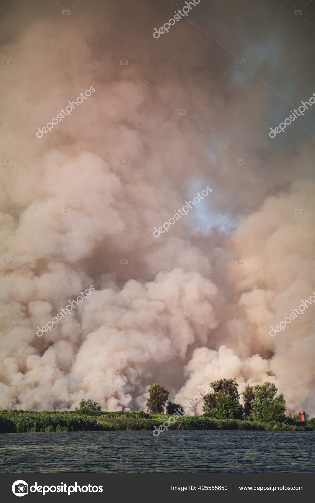 山火事 自然災害 森林火災 生態系の災害の大きな雲 ストック写真 C Zhukovvvlad 山火事 自然災害 森林火災 生態系の災害の大きな雲 ストック写真 C Zhukovvvlad