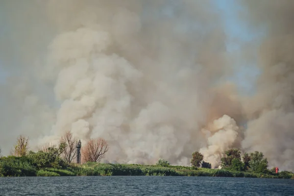 Large clouds of smoke, wildfire, natural disaster, forest fires, ecological disaster.