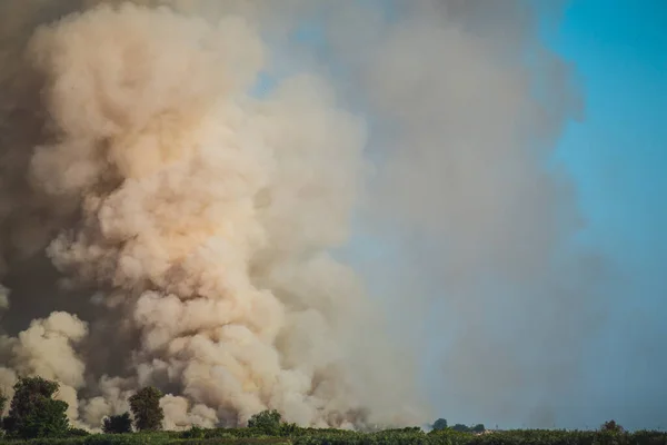 Large clouds of smoke, wildfire, natural disaster, forest fires, ecological disaster.