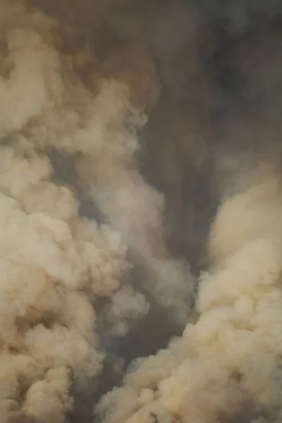 Large clouds of smoke against the sky, wildfire, natural disaster, forest fires, ecological disaster.