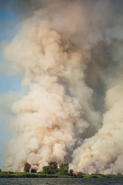 Large clouds of smoke, wildfire, natural disaster, forest fires, ecological disaster.