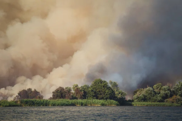 Large clouds of smoke, wildfire, natural disaster, forest fires, ecological disaster.