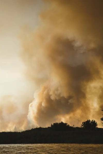 Large clouds of smoke, wildfire, natural disaster, forest fires, ecological disaster.