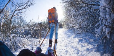 Bir kadın bir çocukla kızak çekiyor. Anne oğluyla karlı bir ormanda yürüyor. Parkta kış yürüyüşü. Oğlan bir kızağa biniyor. Çocuklarla kış aktiviteleri. Fisheye merceği.