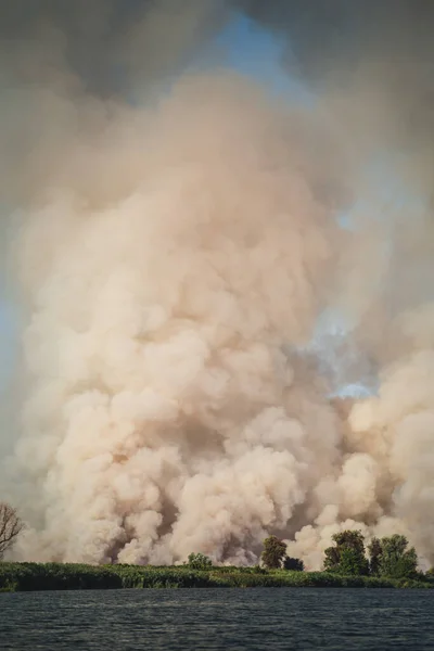 Large clouds of smoke, wildfire, natural disaster, forest fires, ecological disaster.