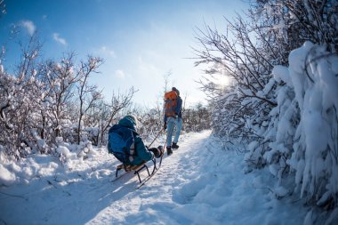 Bir kadın bir çocukla kızak çekiyor, annesi oğluyla karlı bir ormanda yürüyor, parkta kış yürüyüşü yapıyor, çocuk kızakla kayıyor, çocuklarla kış aktiviteleri yapıyor..