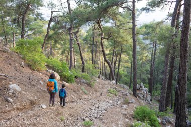 Bir kadın oğluyla ormanda yürür, annesiyle yürüyüşe çıkar, sırt çantalı bir çocuk parka gider, çocuklarla seyahat eder, çocuk annesinin elinden tutar, dağ yolunu tutar..