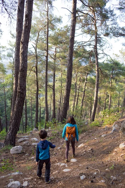 Μια Γυναίκα Περπατά Γιο Της Μέσα Στο Δάσος Αγόρι Μητέρα — Φωτογραφία Αρχείου