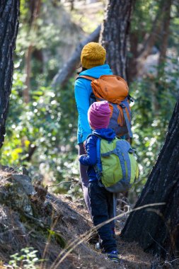 Bir kadın oğluyla birlikte ormanda yürüyor. Annesiyle yürüyüşe çıkan çocuk. Sırt çantalı bir çocuk parkta. Çocuklarla seyahat et. Çocuk annesinin elini tutuyor. Dağ yolu.