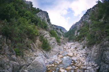 Kanyonun dibinde bir dağ nehri, hızlı bir dere, nehir kıyısında büyük taşlar, Türkiye 'nin resmi doğası..