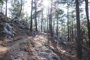 Bir kadın dağ yolunda koşuyor. Koşucu ormanda antrenman yapıyor. Parkta koşan bir kız. Skyrun.