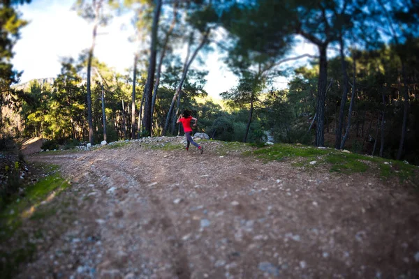 A woman runs along a mountain trail. Runner is training in the forest. Girl jogging in the park. Skyrunning. Fisheye lens. Tilt-Shift effect.