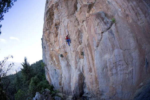 Uomo Forte Scala Una Roccia Muscoli Forti Della Schiena Arrampicata — Foto Stock