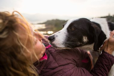 Kız, dağda seyahat ederken köpekle oynuyor ve ona sarılıyor. Genç bir kız doğada köpeğiyle oynar. Hayvanları sev..