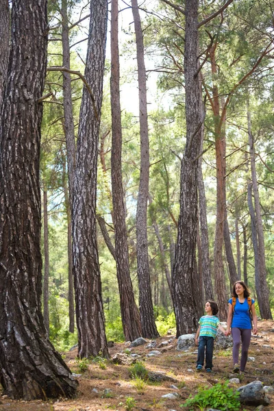 一个女人和她的儿子走过森林 男孩和他的妈妈一起去爬山 一个背着背包的孩子在公园里 和孩子一起旅行 孩子牵着妈妈的手 走山路 — 图库照片
