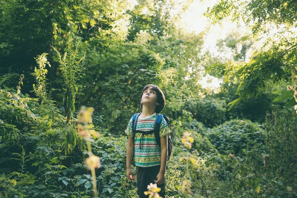 Niño Con Una Mochila Camina Por Bosque Niño Explora Vida —  Fotos de Stock