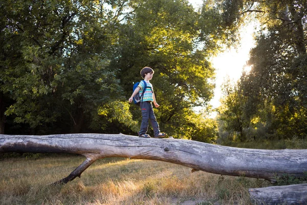 Sırt Çantalı Bir Çocuk Devrilmiş Bir Ağacın Gövdesinde Yürüyor Bir — Stok fotoğraf
