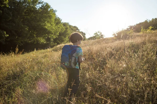 Sırt Çantalı Bir Çocuk Çayırda Yürüyor Bir Çocuk Vahşi Hayatı — Stok fotoğraf