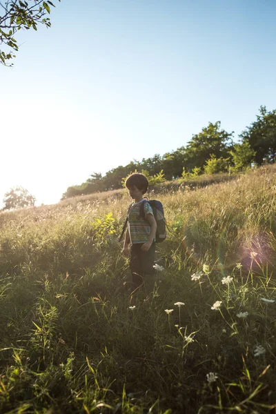 Ein Junge Mit Rucksack Geht Über Die Wiese Ein Kind — Stockfoto