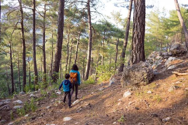 Kobieta Spaceruje Synem Przez Las Chłopiec Matką Wędruje Dziecko Plecakiem — Zdjęcie stockowe