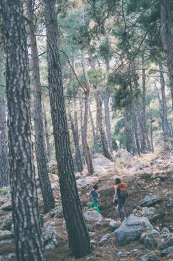 Bir kadın oğluyla birlikte ormanda yürüyor. Annesiyle yürüyüşe çıkan çocuk. Sırt çantalı bir çocuk parkta. Çocuklarla seyahat et. Çocuk annesinin elini tutuyor. Dağ yolu.