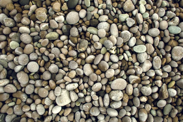 Małe Okrągłe Kamyczki Wybrzeżu Szare Kamienie Tło Kamyków Wybrzeże Oceanu — Zdjęcie stockowe