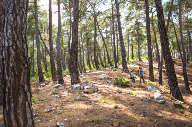 Bir kadın oğluyla ormanda yürür, annesiyle yürüyüşe çıkar, sırt çantalı bir çocuk parka gider, çocuklarla seyahat eder, çocuk annesinin elini tutar, dağ yolu, Anneler Günü..