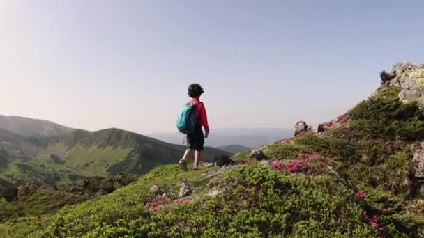 Trekking Górach Dzieckiem Chłopiec Plecakiem Spaceruje Górskim Szlakiem Rekreacja Świeżym — Wideo stockowe