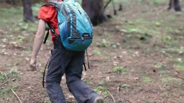Bambino Con Uno Zaino Cammina Attraverso Bosco Trekking Montagna Viaggiare — Video Stock