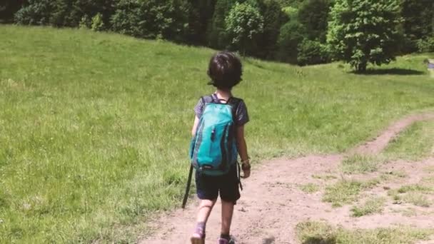 Bambino Con Uno Zaino Cammina Lungo Sentiero Montagna Trekking Montagna — Video Stock