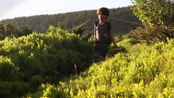 Bambino Con Uno Zaino Cammina Lungo Sentiero Montagna Trekking Montagna — Video Stock