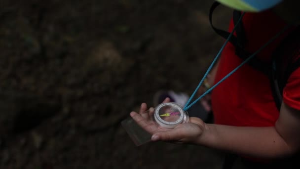 少年は森の中でコンパスを持って旅をする 休暇中の冒険だ 森の中の子供たちのキャンプ — ストック動画