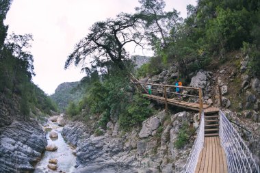 Çocuklu bir kadın dağ nehri boyunca gider, çocuklarla bir gezi, annesiyle yürüyüşe çıkan bir çocuk, sırt çantalı bir kız.