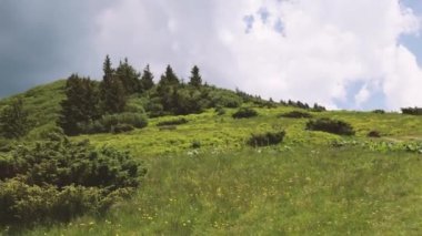 Dağ manzarası, Ukrayna Karpatları, Ukrayna 'nın pitoresk yerleri, dağlarda yürüyüş