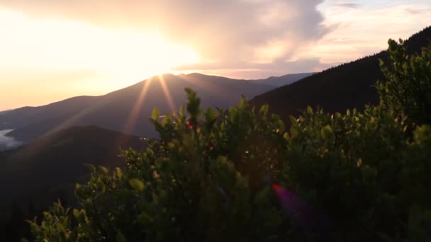 Şafak Vakti Dağlarda Güneşin Güzel Işınları Dağın Üzerinden Geçer Yeşil — Stok video