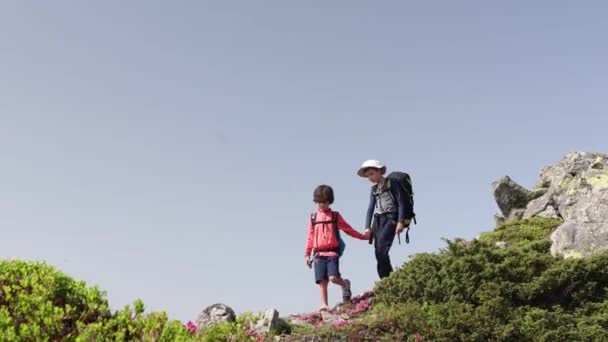 Due Fratelli Durante Escursione Montagna Bambini Con Gli Zaini Camminano — Video Stock