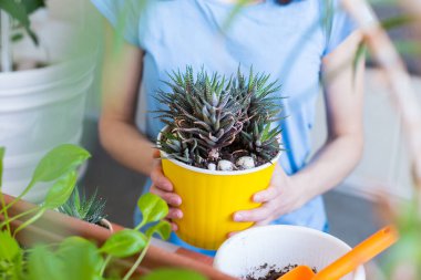 Bir kadın elinde sulu bir tencere tutuyor, bir kız çiçek satıyor, satılık bitkiler yetiştiriyor, hediye olarak bir bitki, bir serada çiçekler, saksı bitkisi..