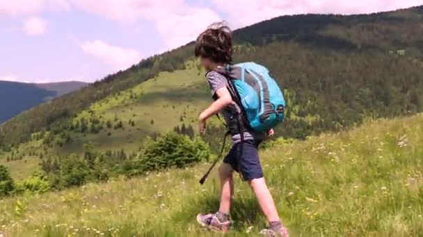Junge Mit Rucksack Läuft Auf Bergpfad Ruhe Der Natur Kinderlager — Stockvideo