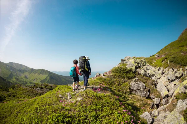 Twee Broers Een Wandeling Bergen Kinderen Met Rugzakken Lopen Langs — Stockfoto