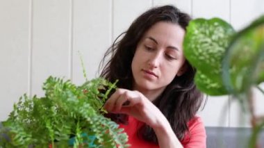 Kapalı alandaki çiçeklerle ilgilenen kız. Saksıdaki çiçeklerle ilgilenen bir çiçekçi. Kadın evin rahatlığını emiyor..